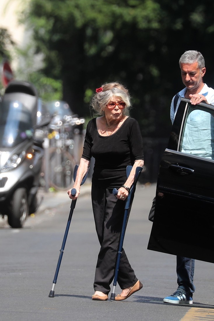 Макрон против Бардо: как 83-летняя Брижит даже на костылях перещеголяла 65-летнюю (ФОТО)