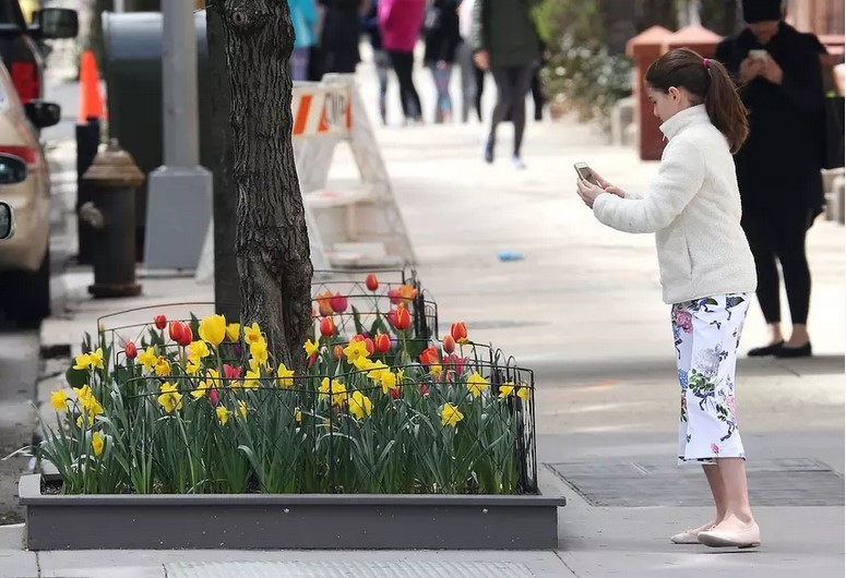 Подросшая Сури Круз гуляет по Нью-Йорку и фотографирует цветы