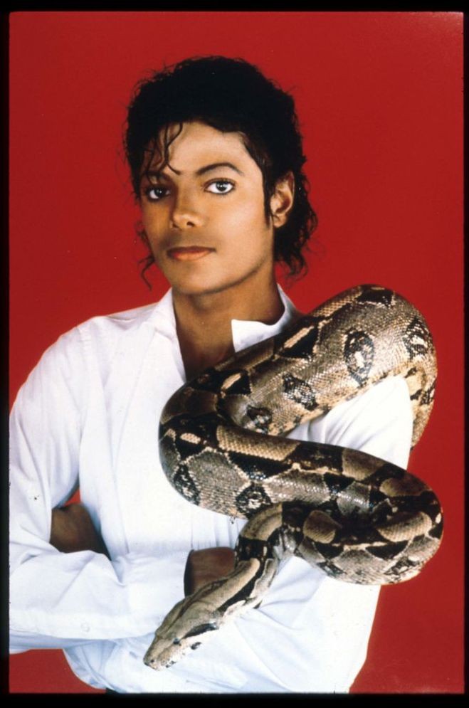5 самых громких слухов о Майкле Джексоне