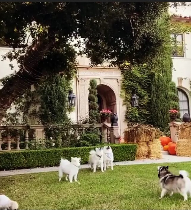 Оззі та Шерон Осборн купили особняк за 12 мільйонів доларів для 11 собак