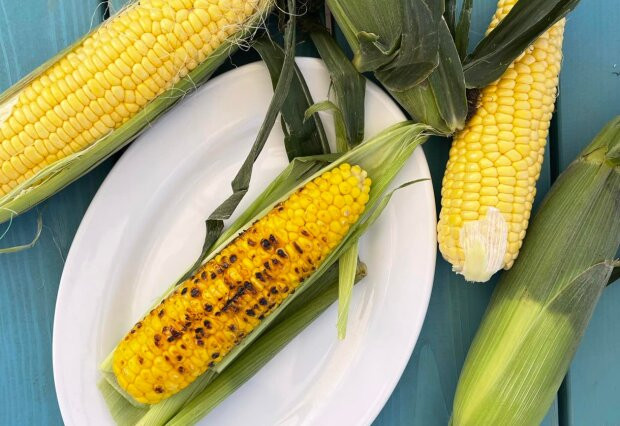 Як потрібно їсти молоду кукурудзу: правильно цього не робив майже ніхто